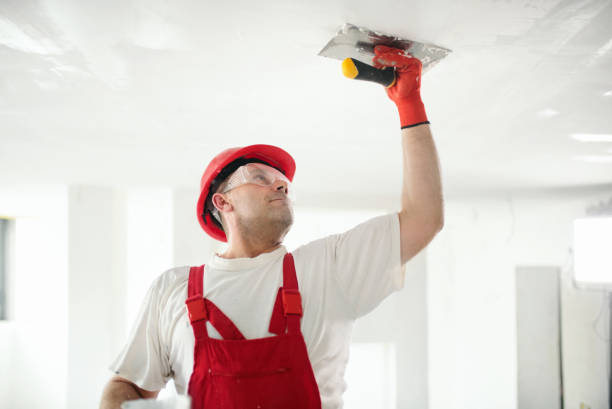 Best Touch-Up Painting Services  in USA